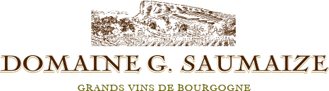 Logo Domaine G. Saumaize